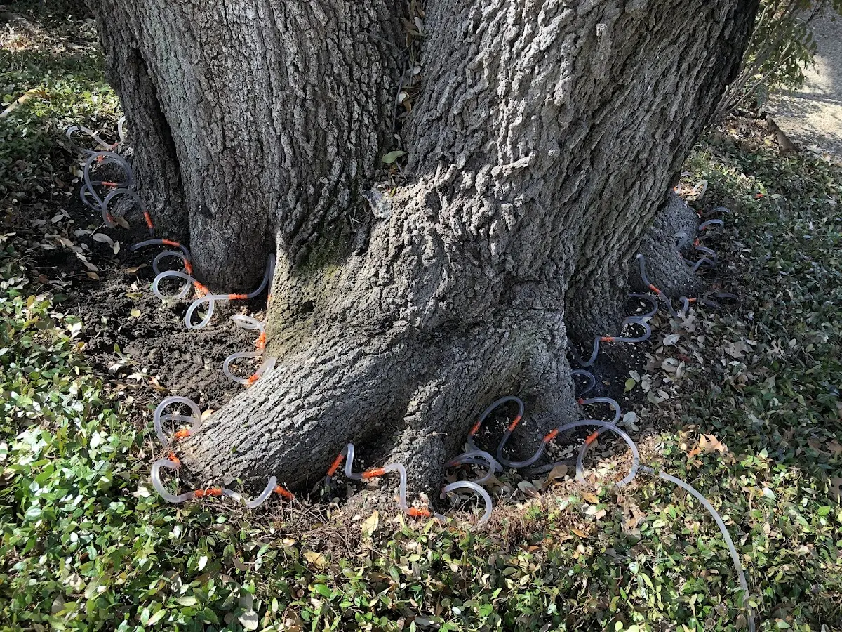 Detailed Shrub and Hedge Trimming job site in Crescent
