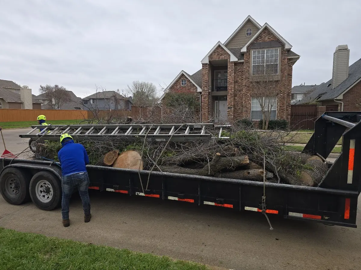 Expert Tree Fertilization with proper safety equipment in Crescent